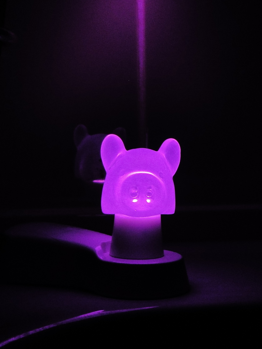 Lücht Modell Oink in Pink - eines unserer Lieblings-Produkte